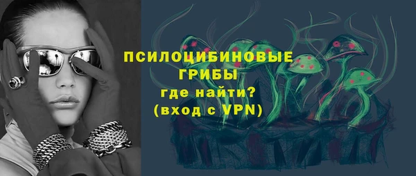 индика Богданович